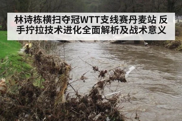 林诗栋横扫夺冠WTT支线赛丹麦站 反手拧拉技术进化全面解析及战术意义