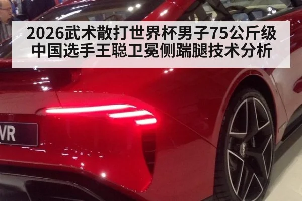 2026武术散打世界杯男子75公斤级中国选手王聪卫冕侧踹腿技术分析