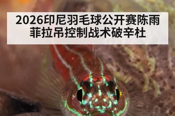 2026印尼羽毛球公开赛陈雨菲拉吊控制战术破辛杜