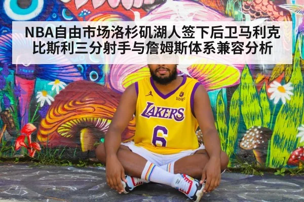 NBA自由市场洛杉矶湖人签下后卫马利克比斯利三分射手与詹姆斯体系兼容分析