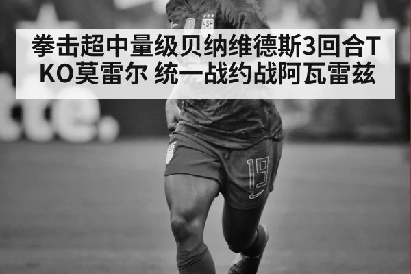 拳击超中量级贝纳维德斯3回合TKO莫雷尔 统一战约战阿瓦雷兹